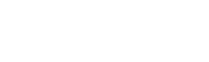 Bächler + Güttinger